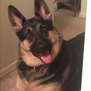 Meet your Posher, Traci